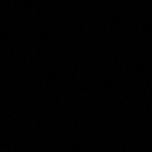 Meet your Posher, Sammy